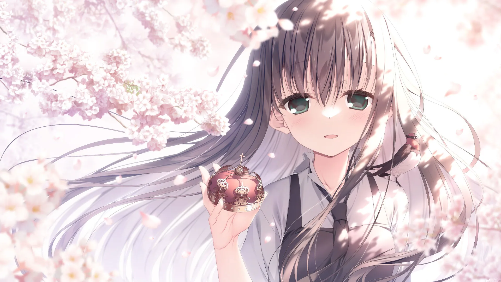 Visual Novel